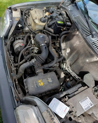 Fiat Cinquecento cena 2200 przebieg: 72400, rok produkcji 1996 z Tolkmicko małe 29